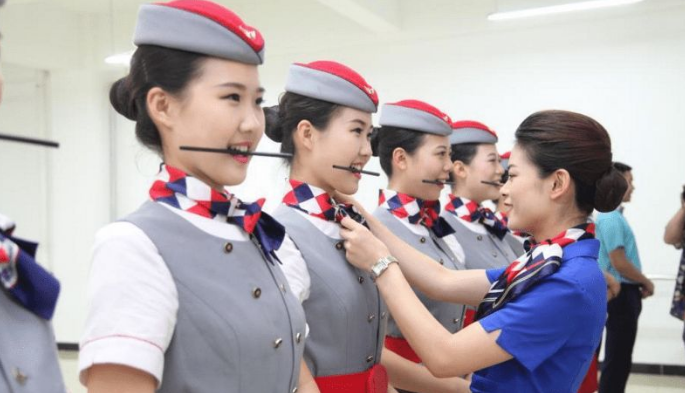 成都东星航空职业学院 (2).png