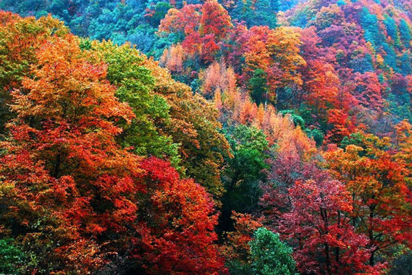 巴中职业技术学校招生 巴中职业技术学校招生