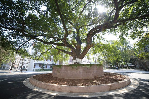 宜宾职业技术学院 宜宾职业技术学院