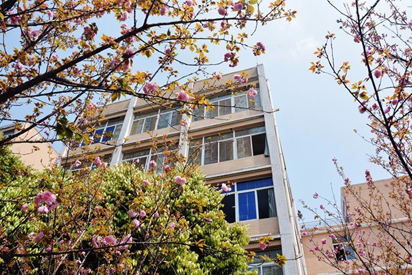 职业高中 职业高中