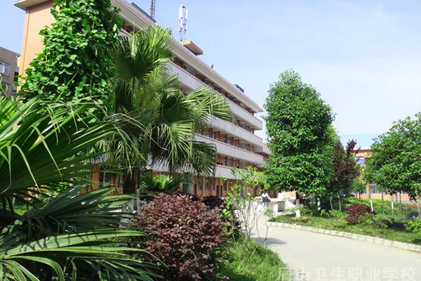 职业高中 职业高中