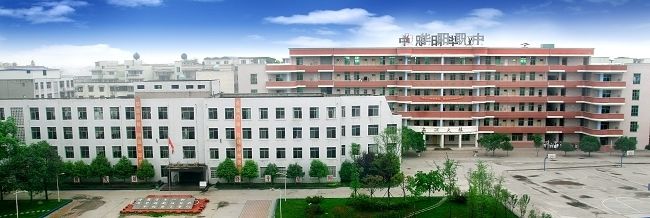 成都市华阳职业中学鸟瞰图