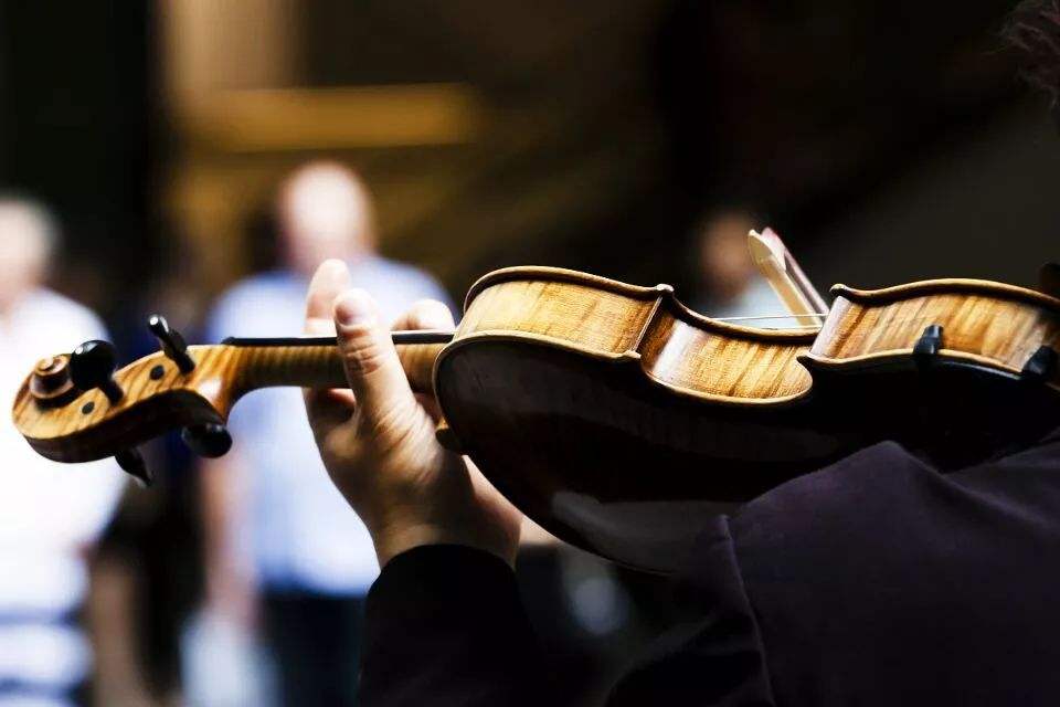 专业技术 专业技术