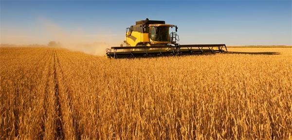 贵州农业职业学院 贵州农业职业学院