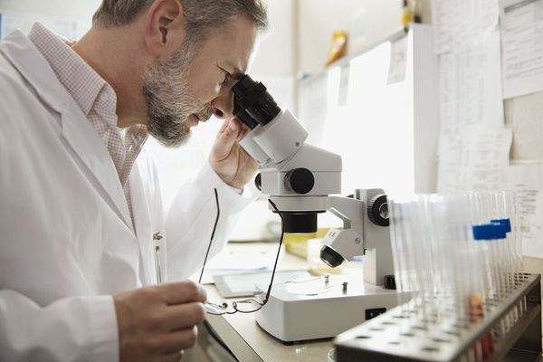 医学营养专业 医学营养专业