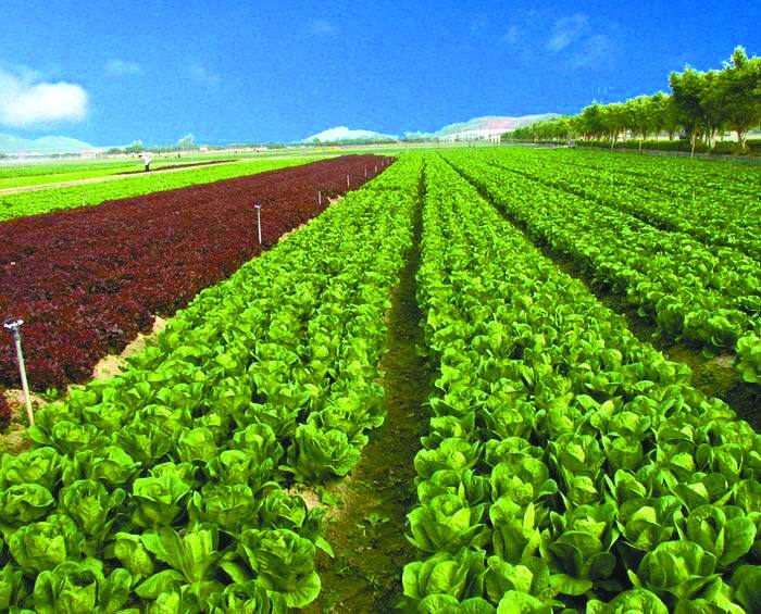 贵州农业职业学院 贵州农业职业学院