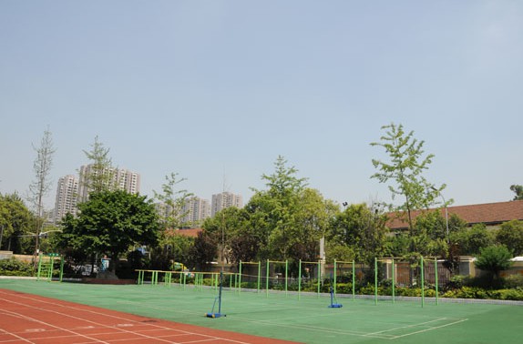 体育场