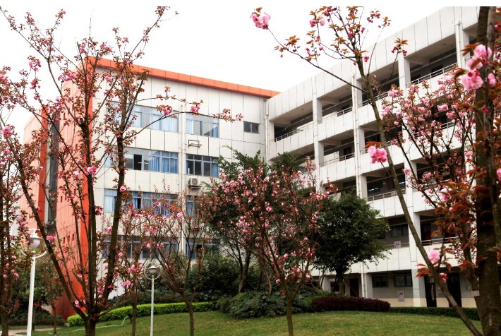 花香校园