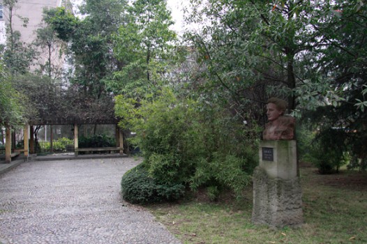 林荫小道