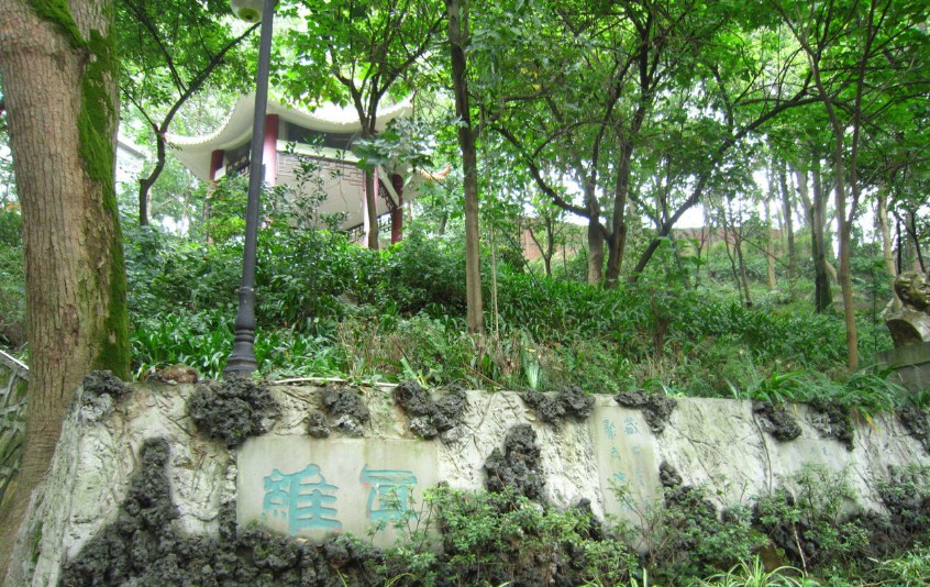 校园风光