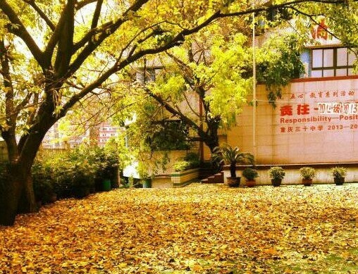 校园一角